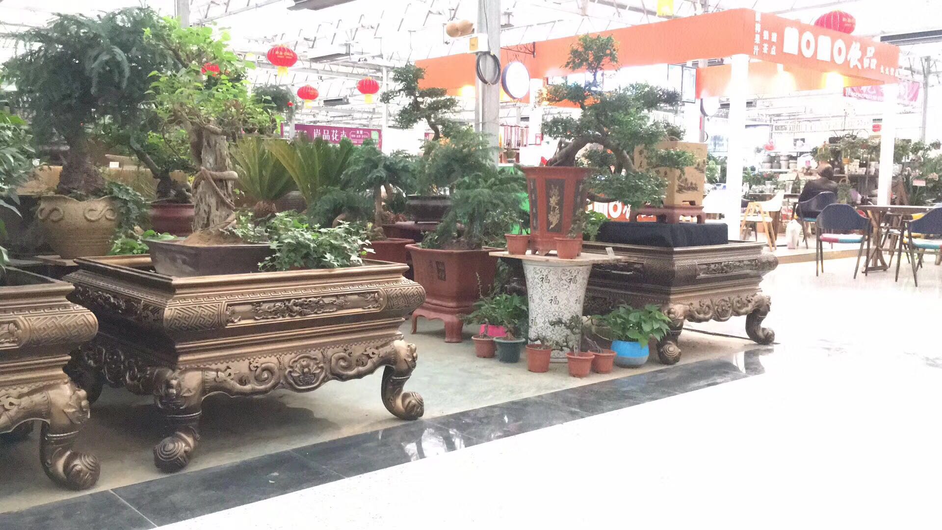 皇家仿古（gǔ）盆景 (3).jpg