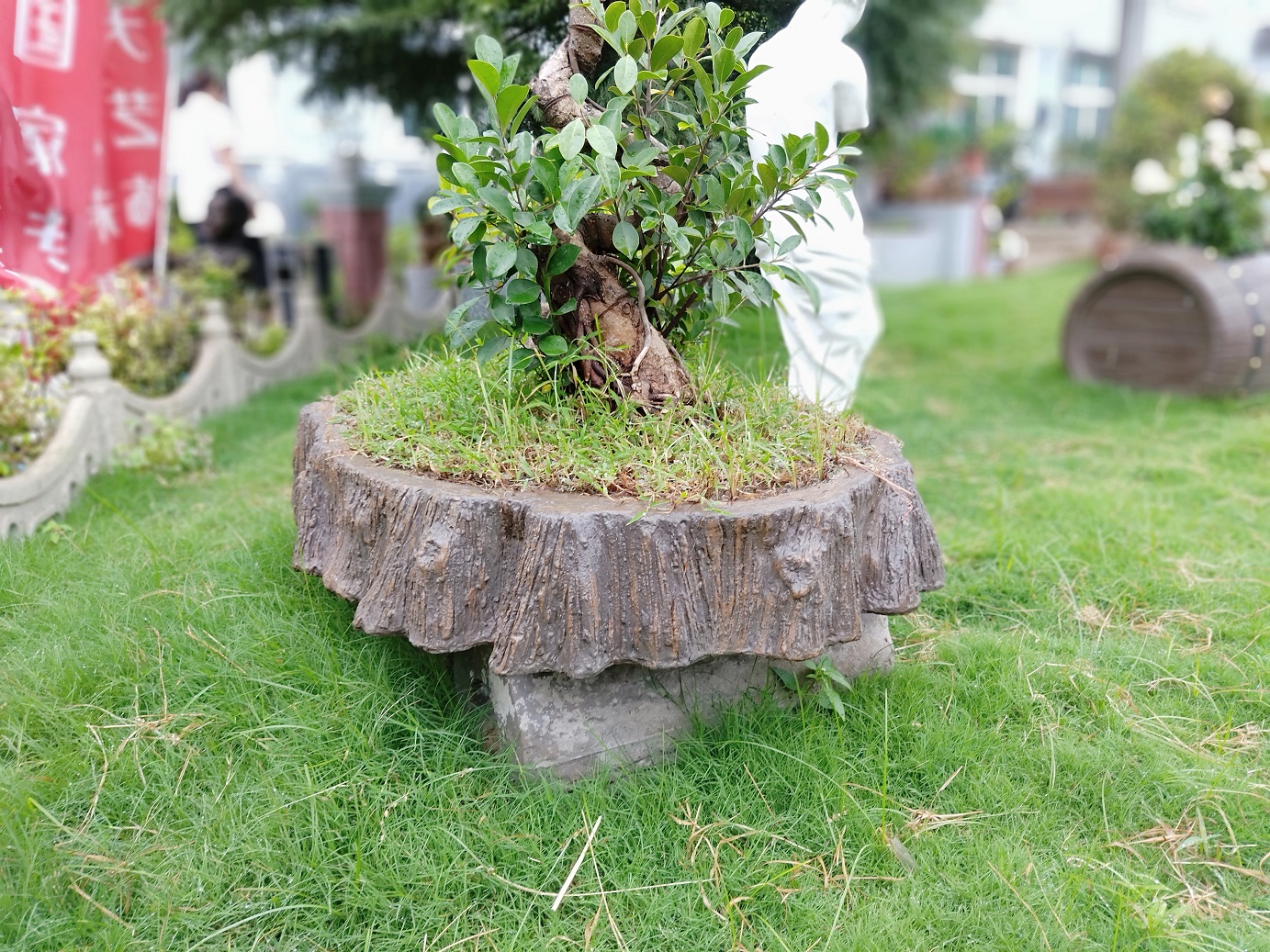 根雕盆景 (4).jpg