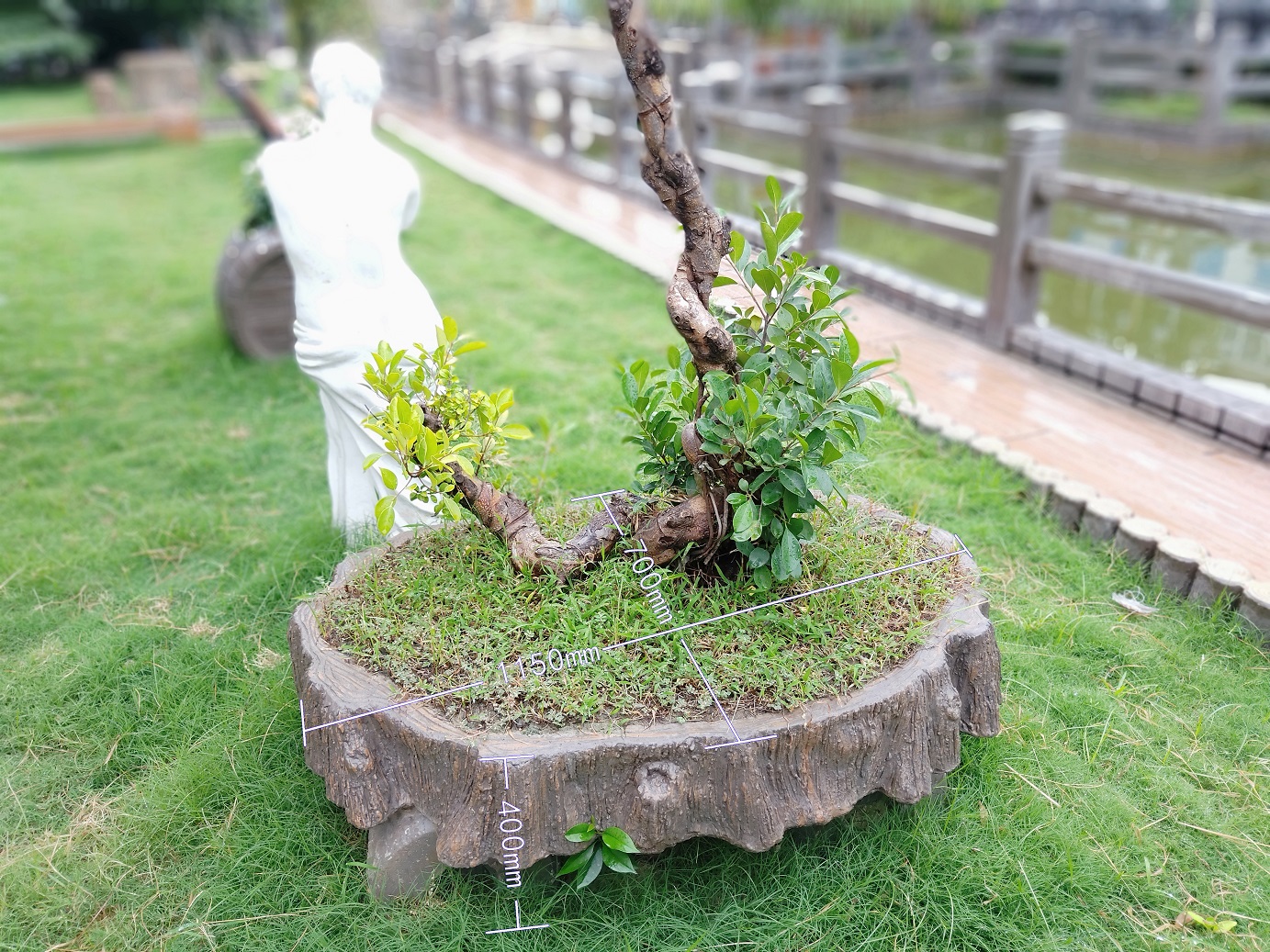 根雕盆景 (1).jpg