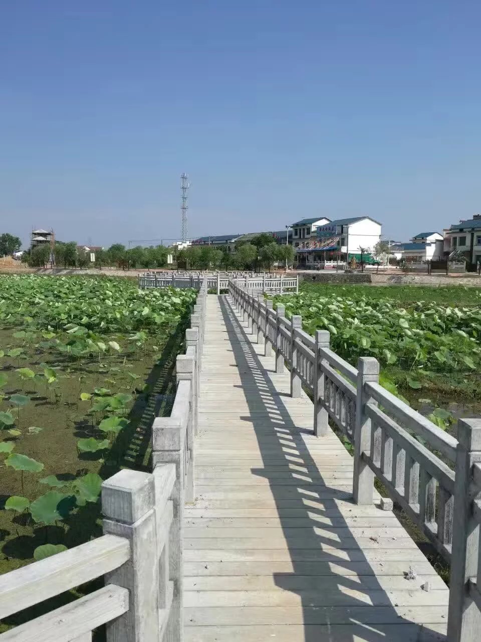 1.5米仿木護欄 (17).jpg