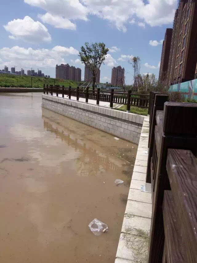 1.8米仿木護（hù）欄  (17).JPG