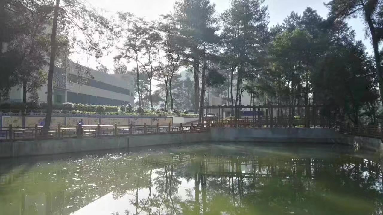 1.8米方格仿木護欄（lán） (8).jpg