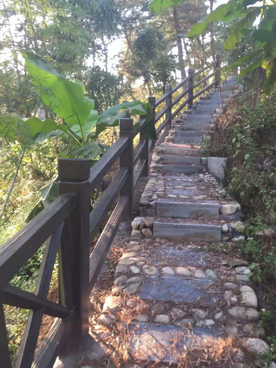 X型仿木護欄（lán）  (94).jpg