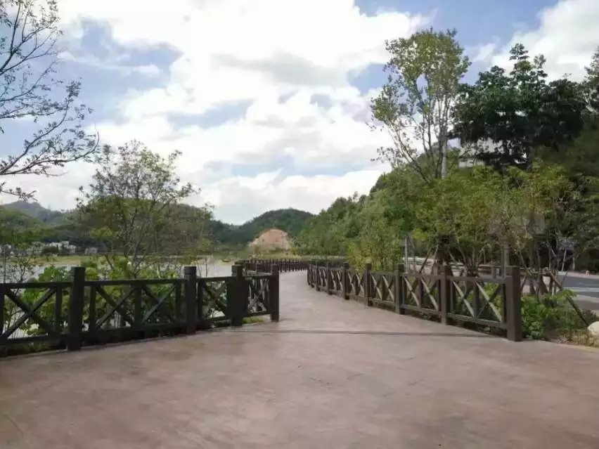 X型（xíng）仿木護欄  (84).jpg